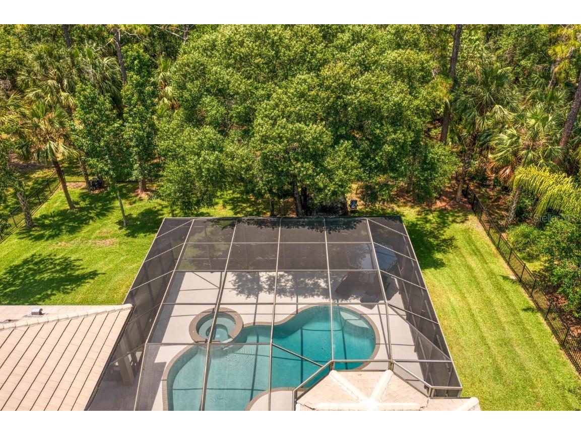 16423 Burniston Drive Tampa FL 33647 TB8437329 image73