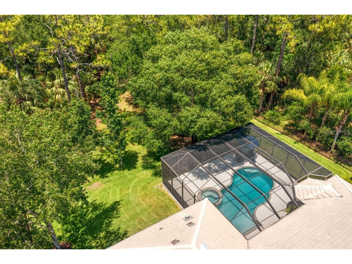 16423 Burniston Drive Tampa FL 33647 TB8437329 image74