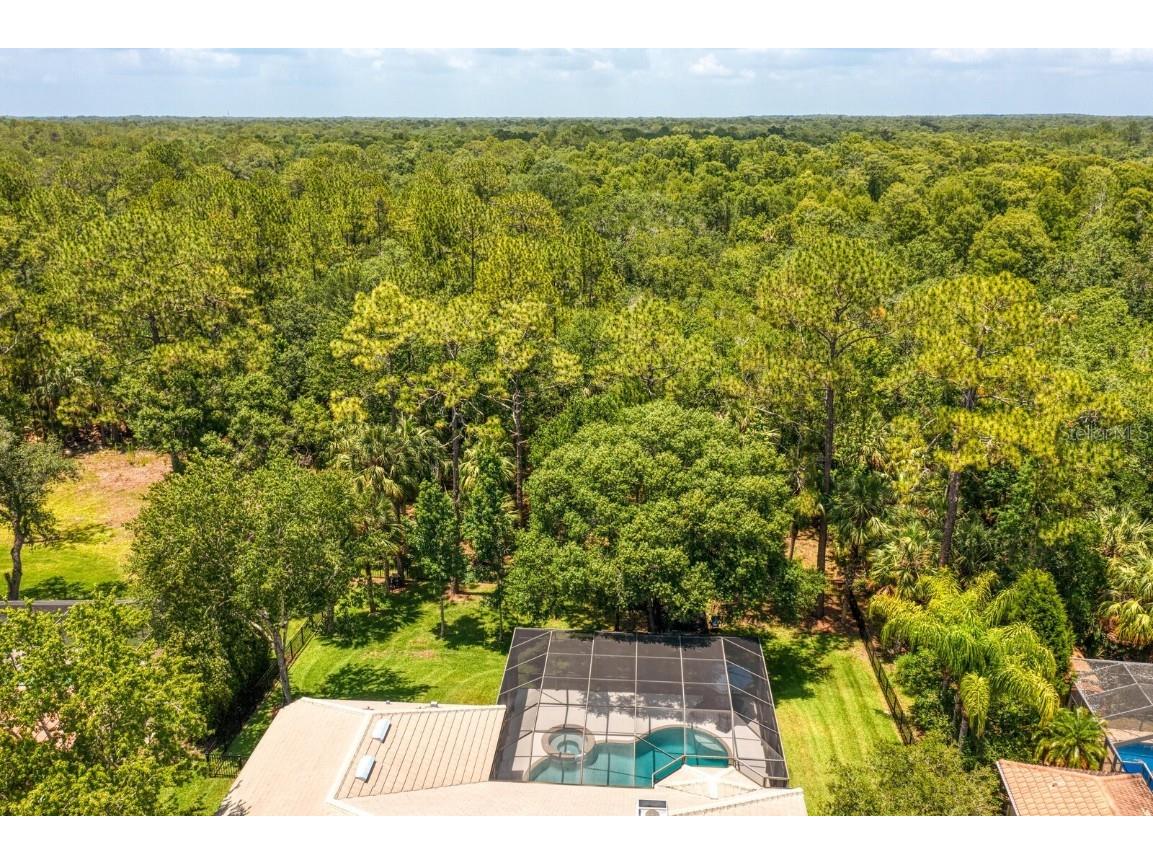 16423 Burniston Drive Tampa FL 33647 TB8437329 image75