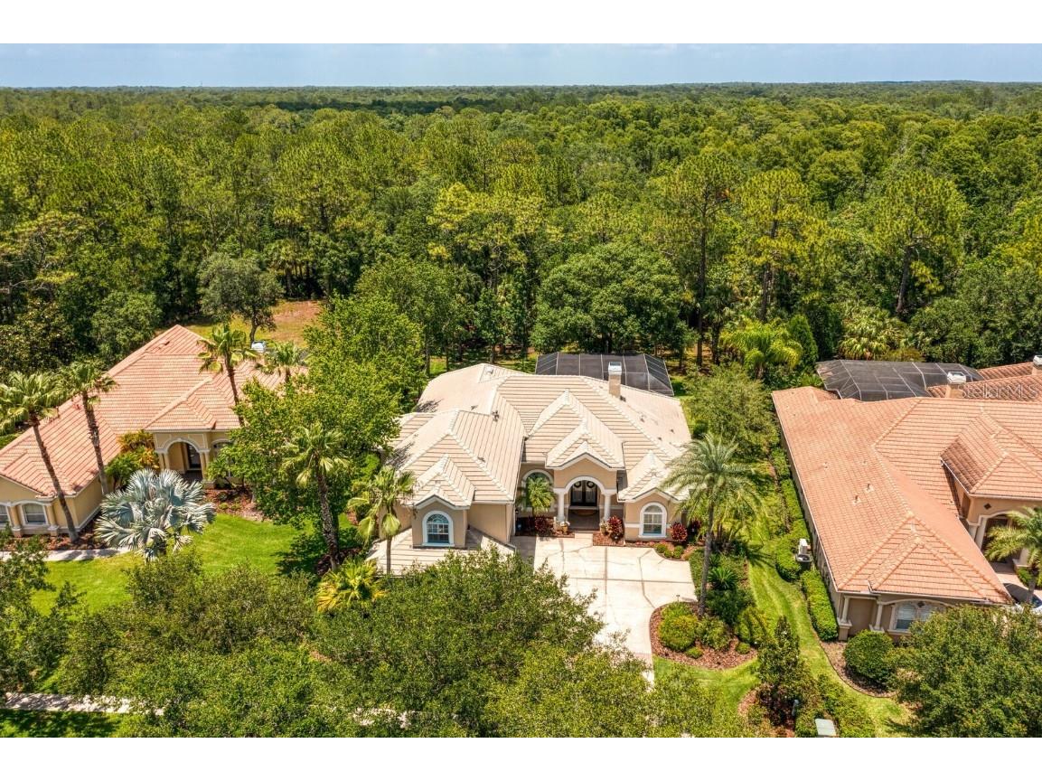 16423 Burniston Drive Tampa FL 33647 TB8437329 image76