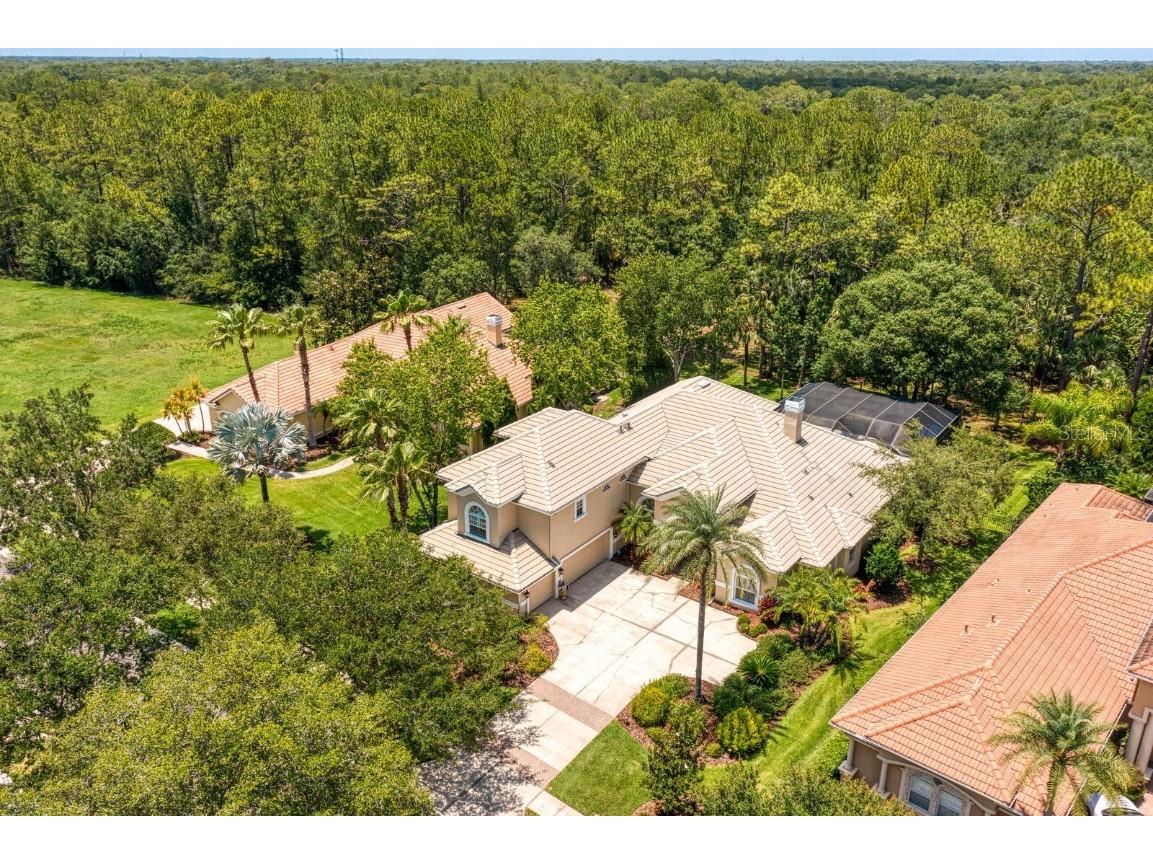 16423 Burniston Drive Tampa FL 33647 TB8437329 image77