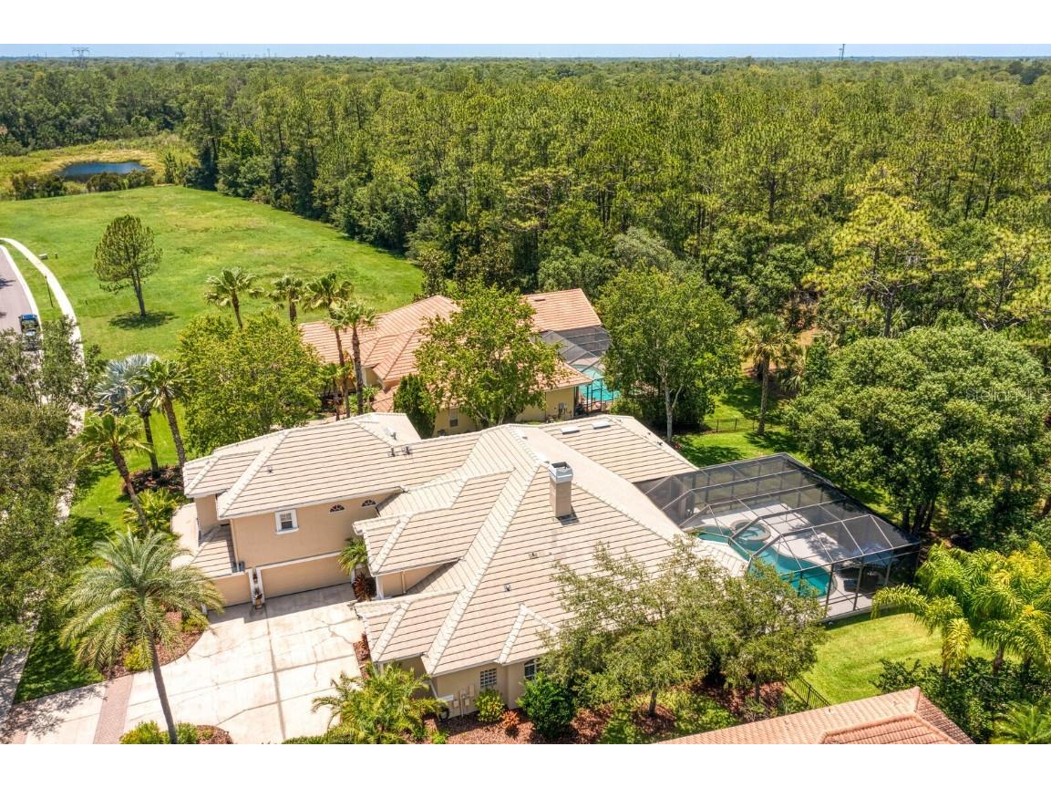 16423 Burniston Drive Tampa FL 33647 TB8437329 image78