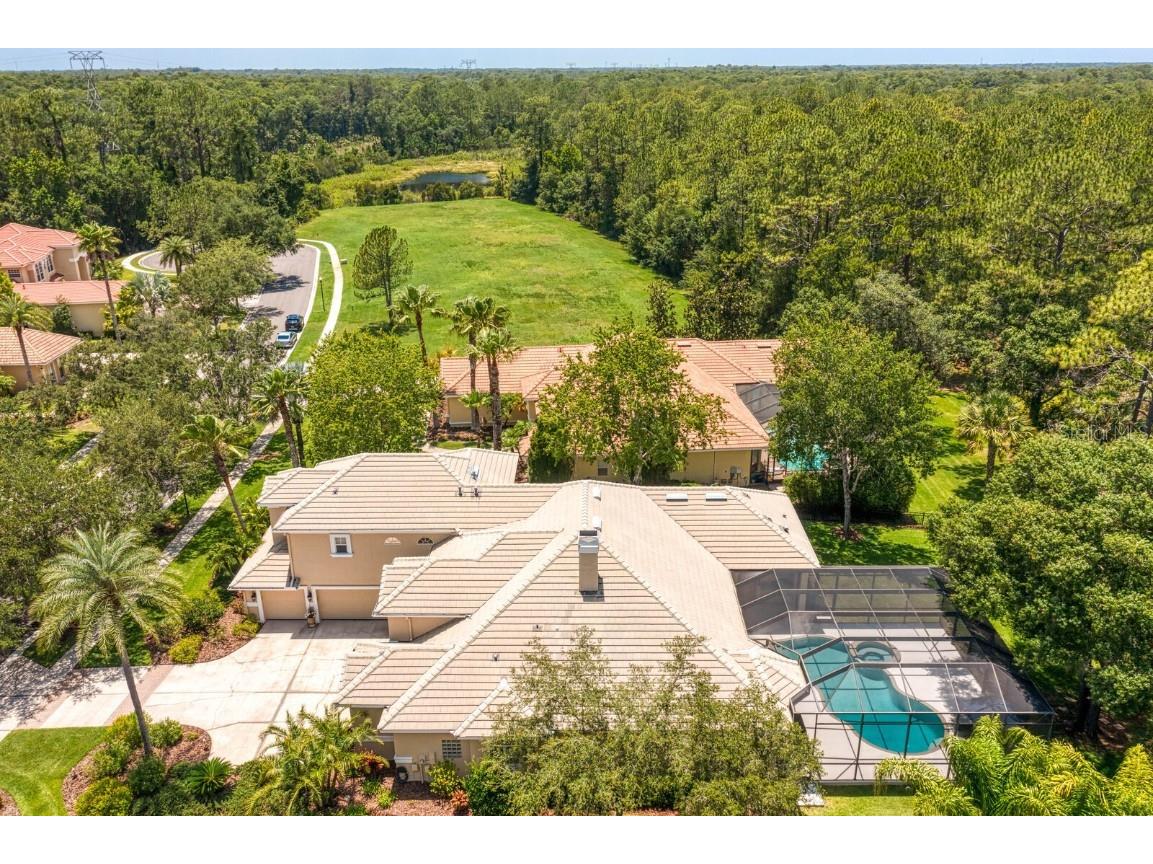 16423 Burniston Drive Tampa FL 33647 TB8437329 image79