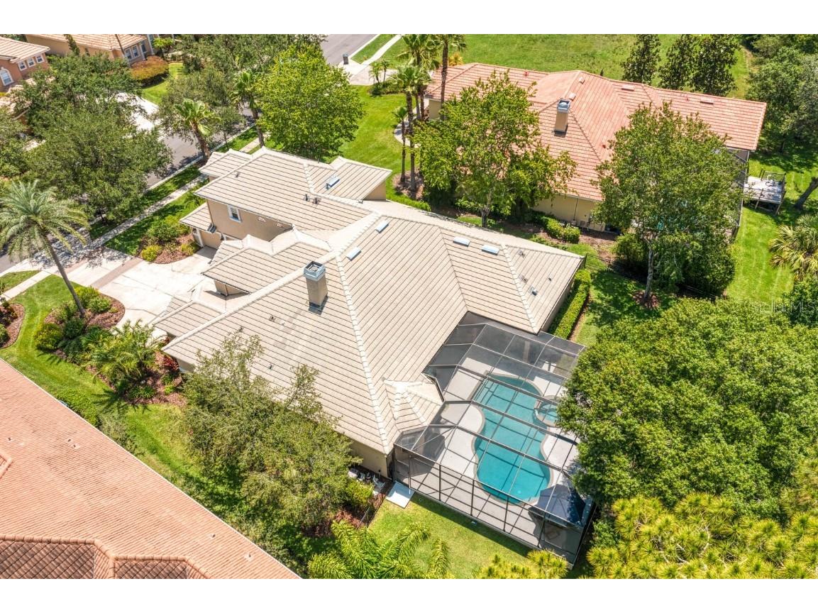 16423 Burniston Drive Tampa FL 33647 TB8437329 image80