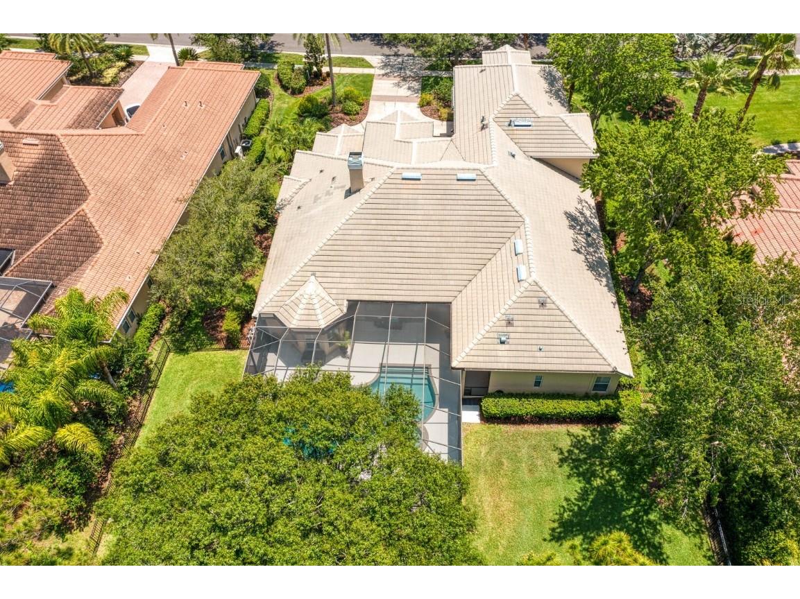 16423 Burniston Drive Tampa FL 33647 TB8437329 image81