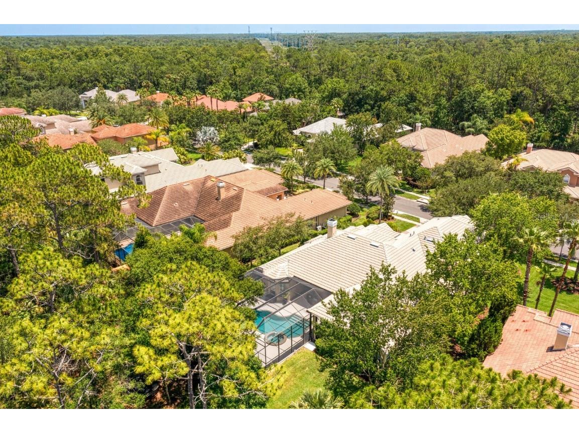 16423 Burniston Drive Tampa FL 33647 TB8437329 image82