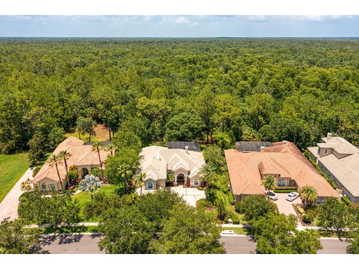 16423 Burniston Drive Tampa FL 33647 TB8437329 image83