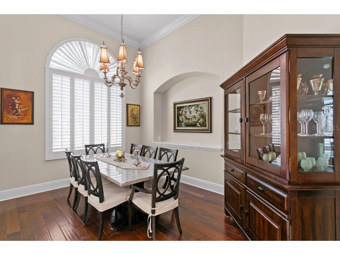 16423 Burniston Drive Tampa FL 33647 TB8437329 image9