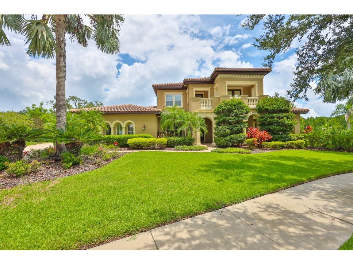 16423 Chapman Crossing Drive Lithia FL 33547 TB8415176 image1