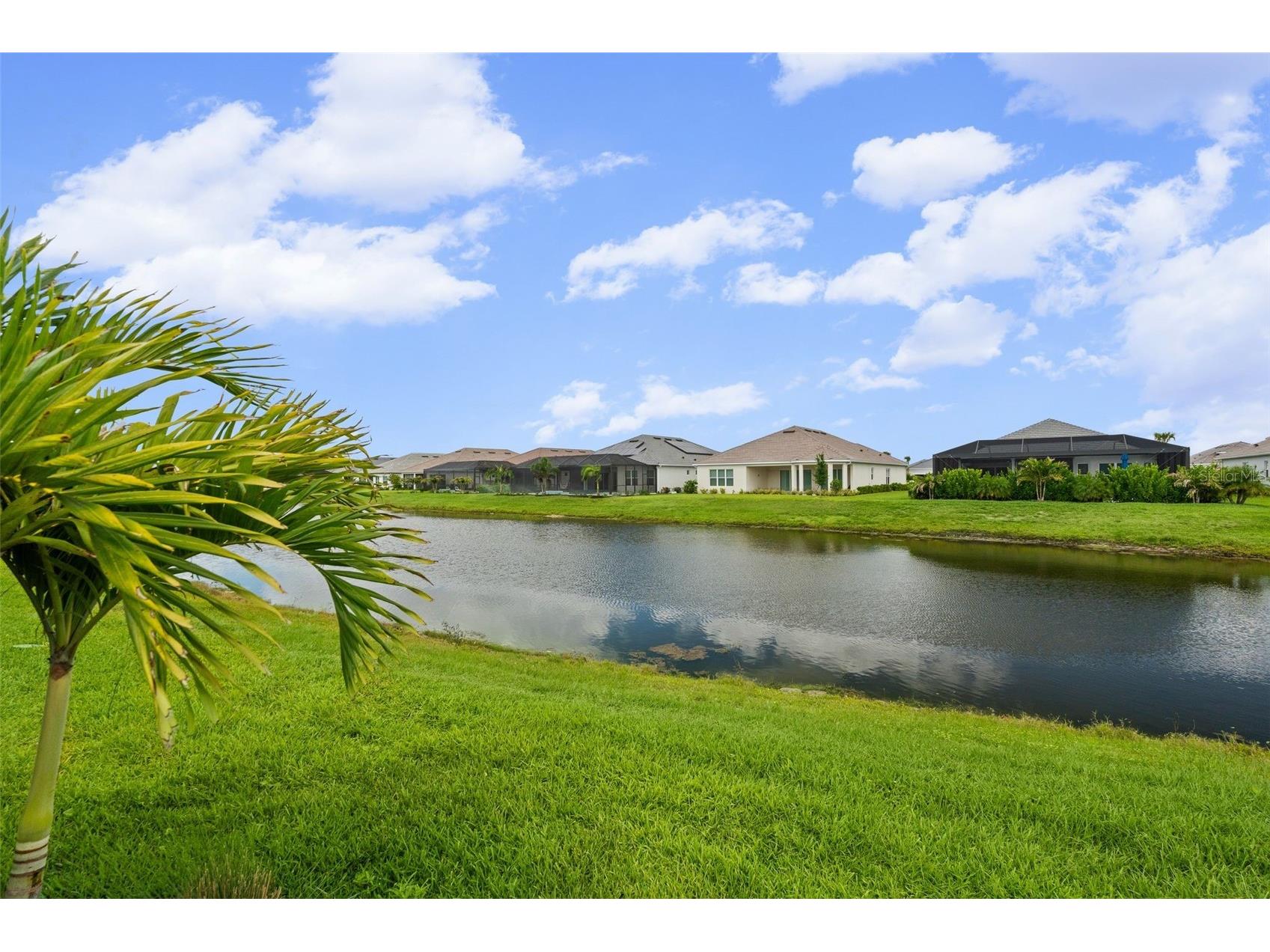 16423 Umbria Place Lakewood Ranch FL 34211 A4690436 image59