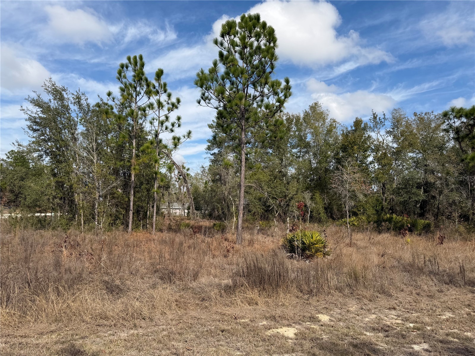 16426 Courlan Road Brooksville FL 34614 TB8471069 image10