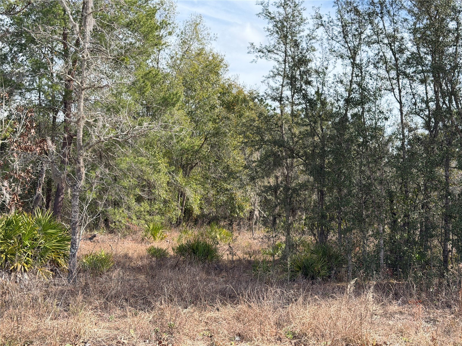 16426 Courlan Road Brooksville FL 34614 TB8471069 image5