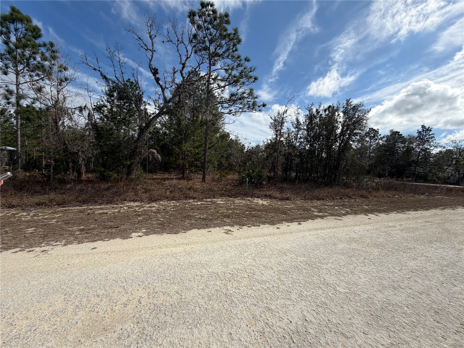 16426 Courlan Road Brooksville FL 34614 TB8471069 image6