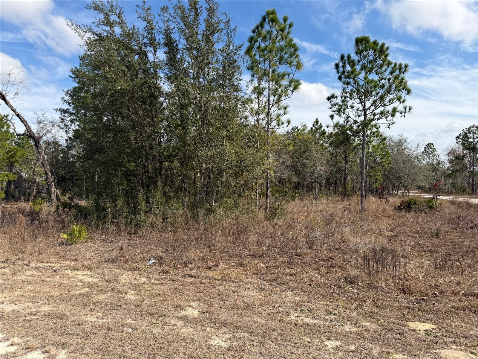 16426 Courlan Road Brooksville FL 34614 TB8471069 image7