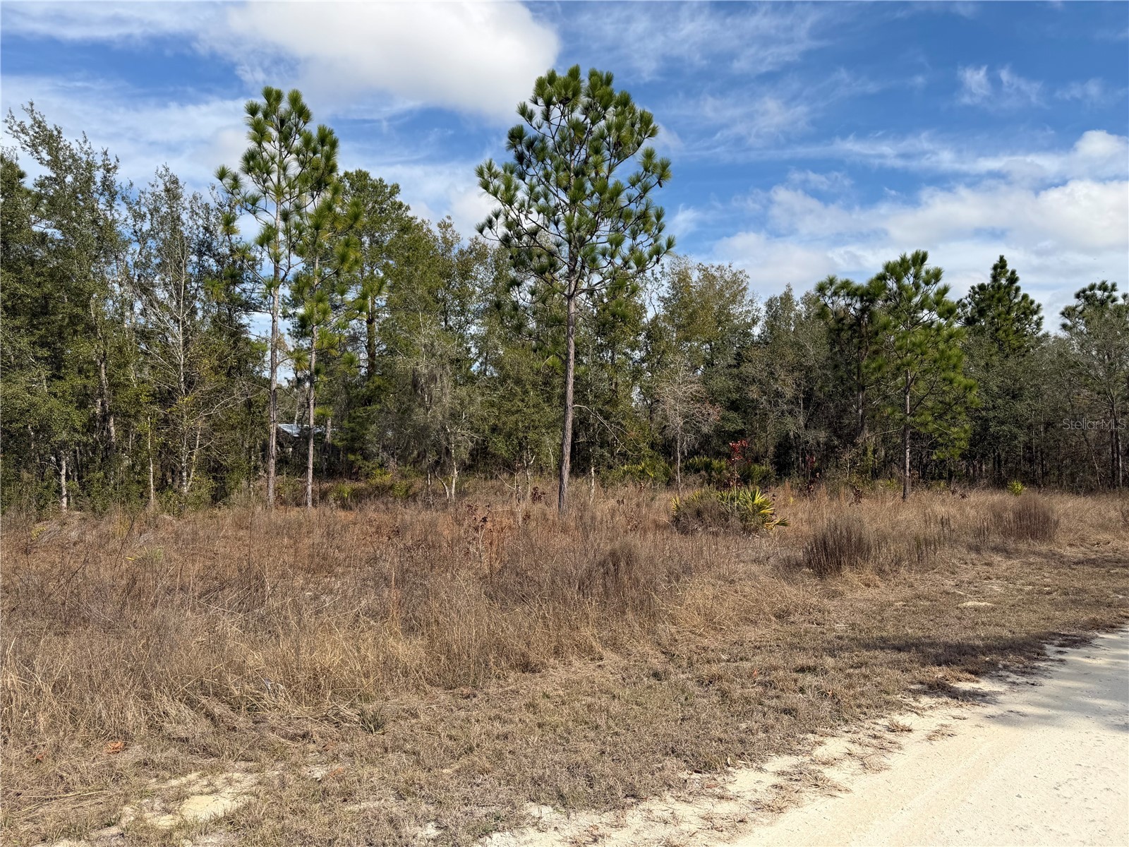 16426 Courlan Road Brooksville FL 34614 TB8471069 image8