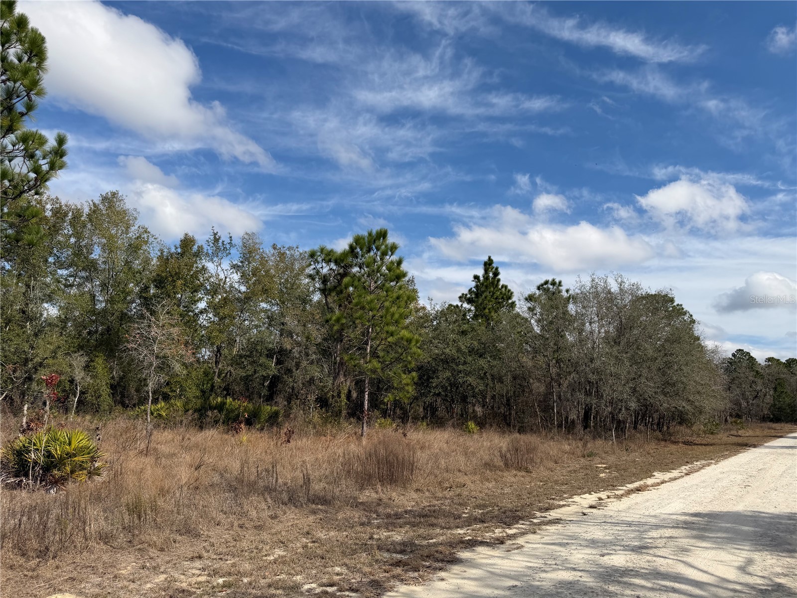 16426 Courlan Road Brooksville FL 34614 TB8471069 image9