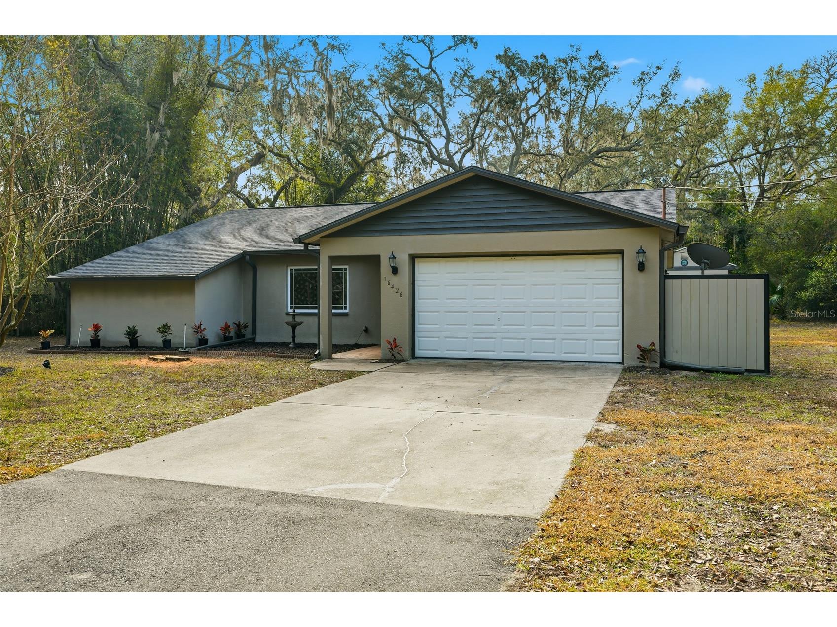 16426 Forzando Avenue Brooksville FL 34604 W7881918 image3