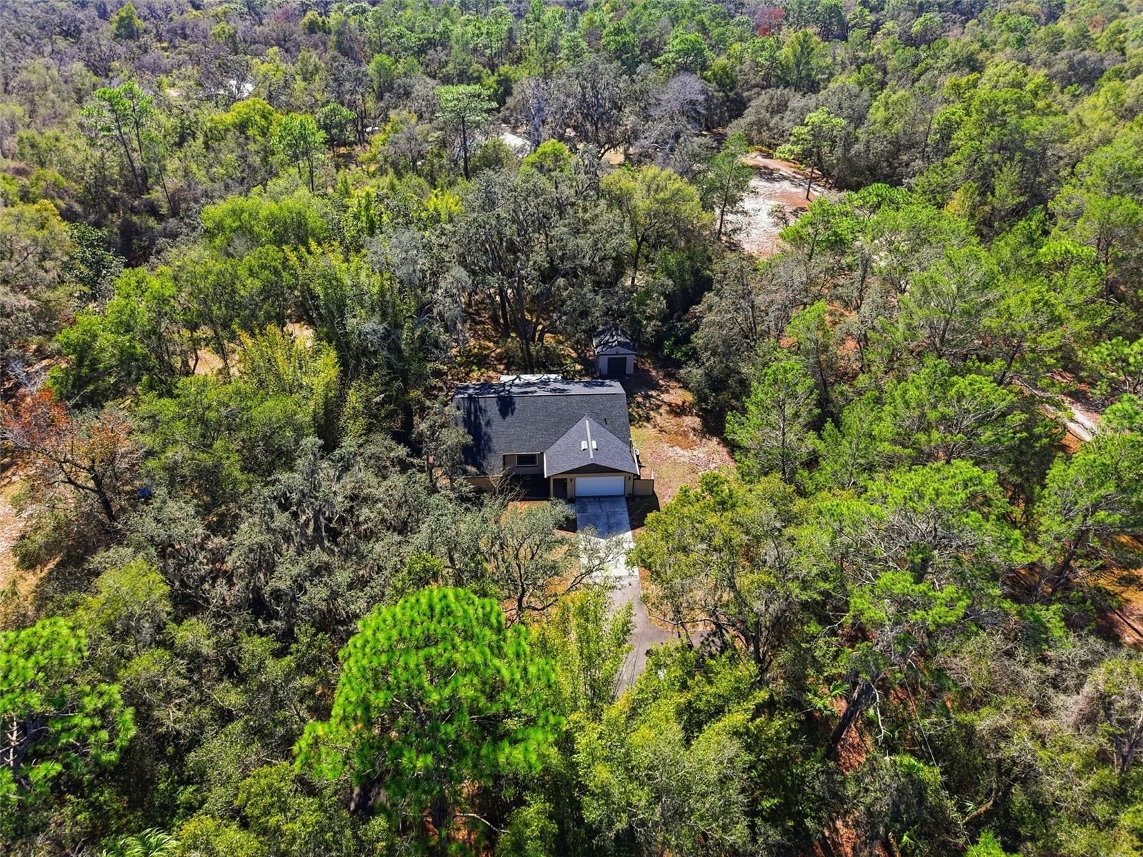 16426 Forzando Avenue Brooksville FL 34604 W7881918 image49