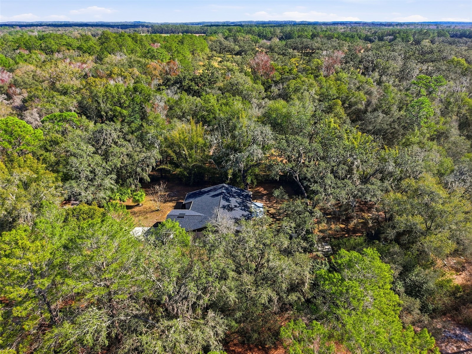 16426 Forzando Avenue Brooksville FL 34604 W7881918 image51