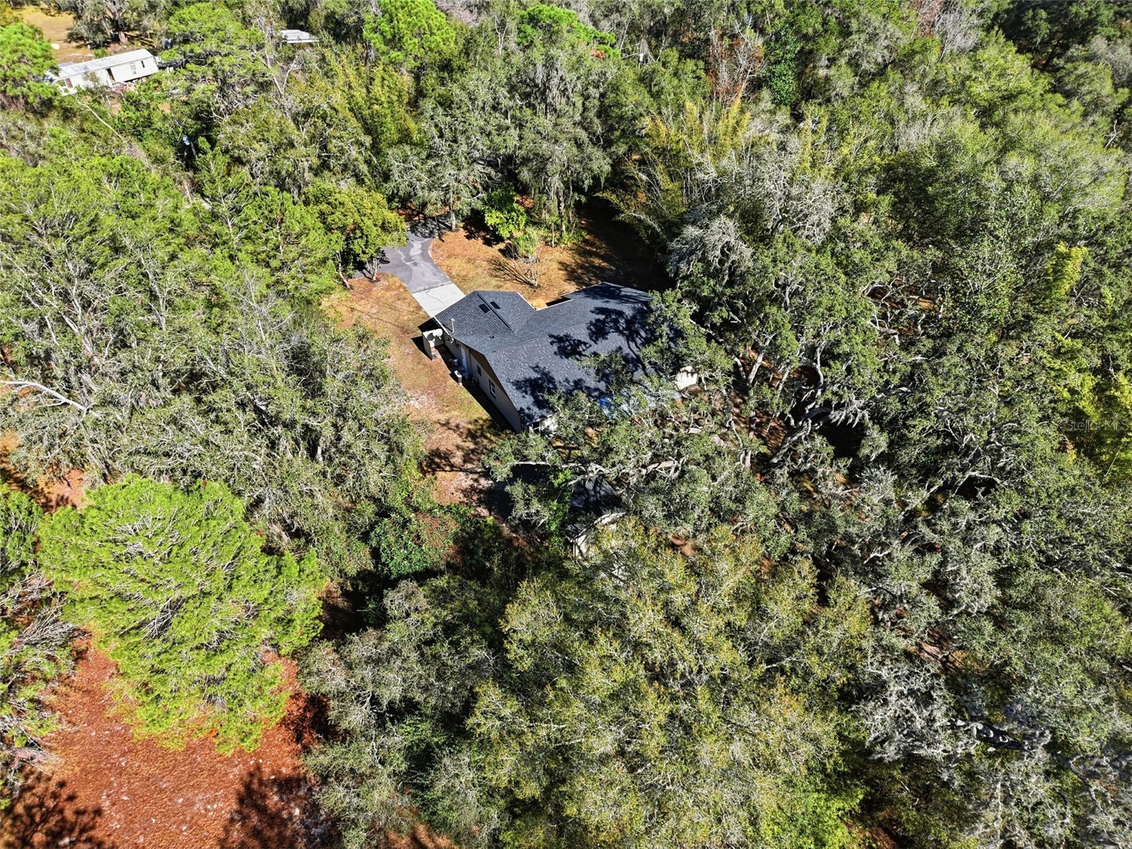16426 Forzando Avenue Brooksville FL 34604 W7881918 image52