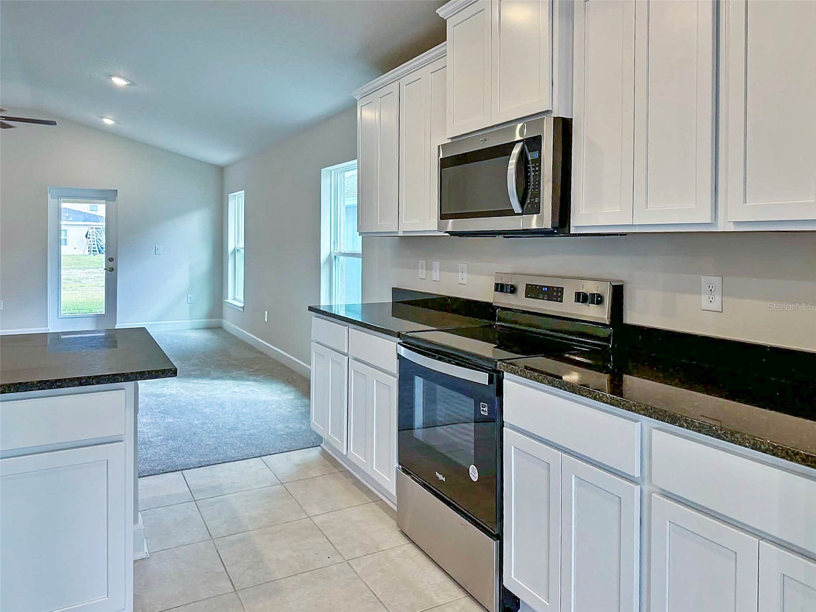 1643 Ann Rose Way Leesburg FL 34748 O6394558 image5