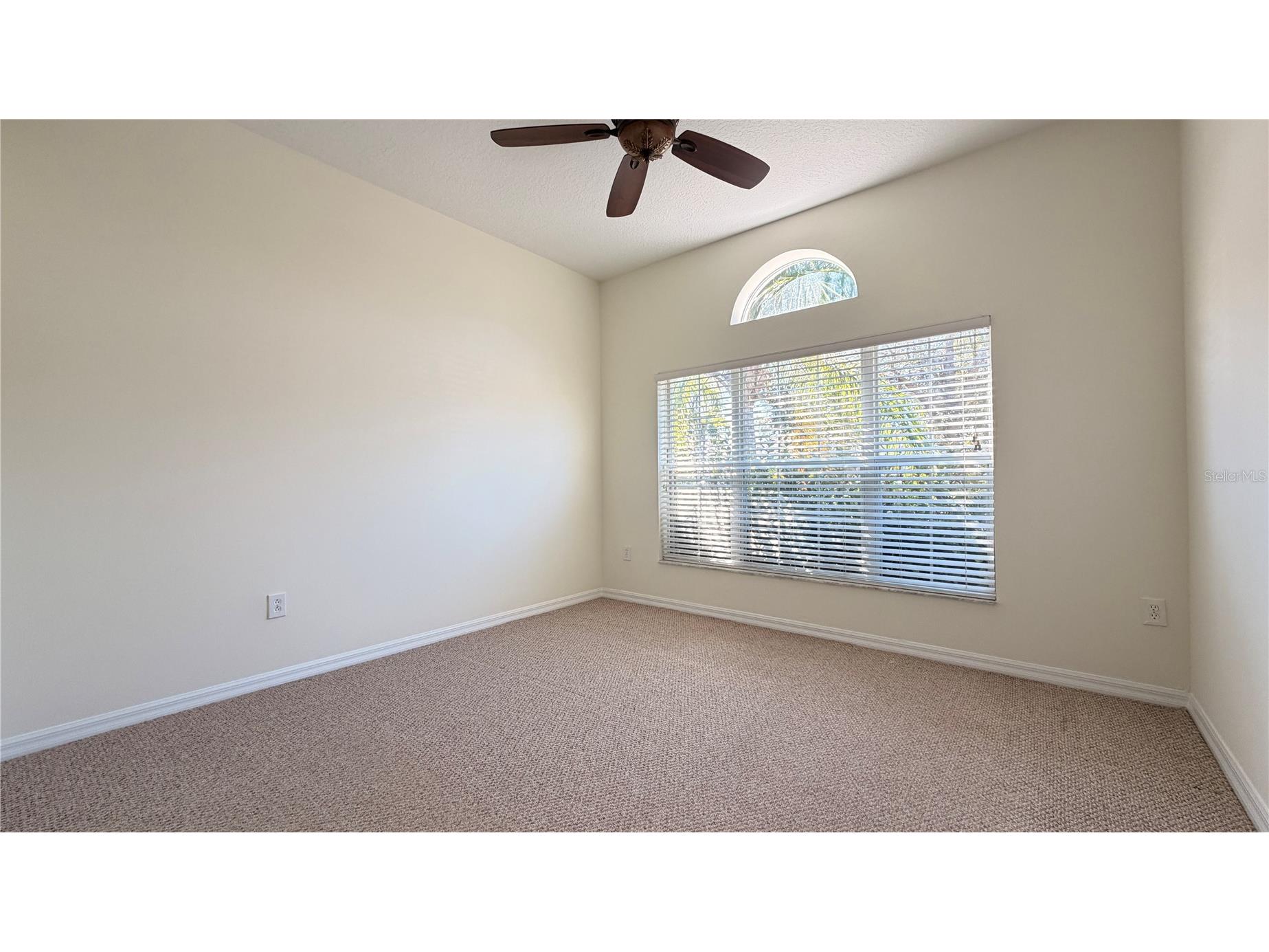 1643 Bonita Bluff Court Ruskin FL 33570 TB8481887 image7