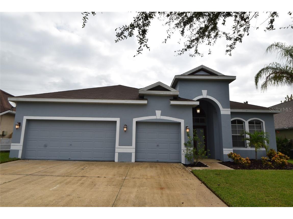 16430 Bridgewalk Drive Lithia FL 33547 T3480295 image1