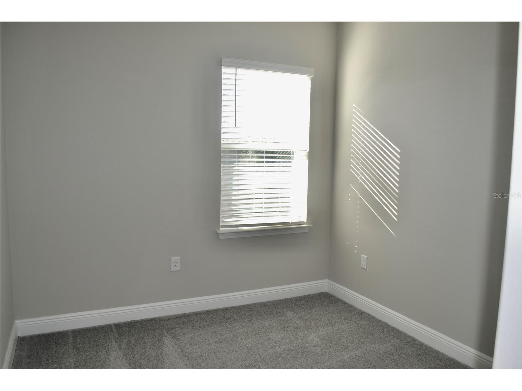 16430 Tangerine Mesa Drive Winter Garden FL 34787 O6412558 image20