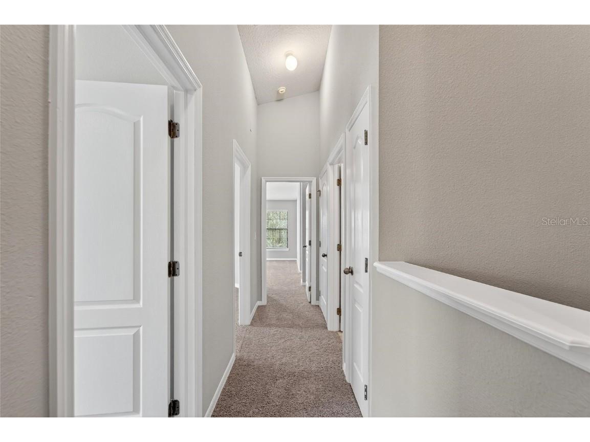 16431 Kingletridge Avenue Lithia FL 33547 TB8412625 image35