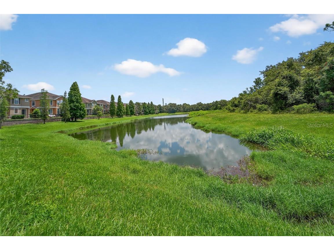 16431 Kingletridge Avenue Lithia FL 33547 TB8412625 image4