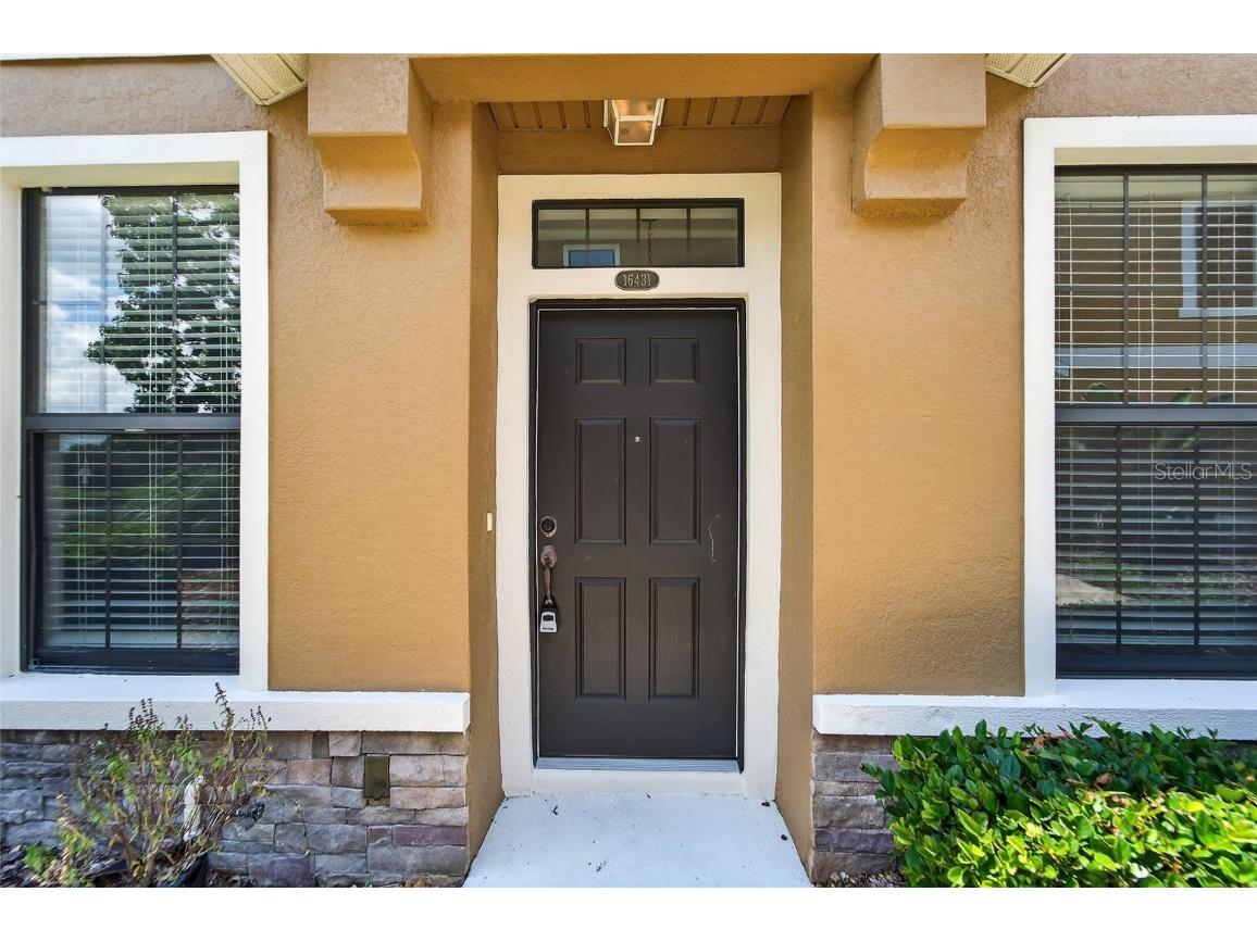 16431 Kingletridge Avenue Lithia FL 33547 TB8412625 image49
