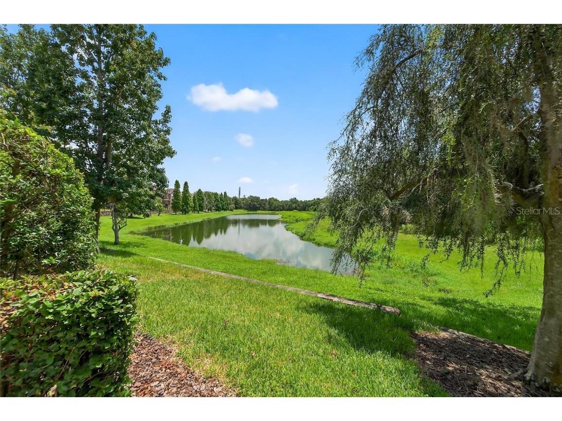 16431 Kingletridge Avenue Lithia FL 33547 TB8412625 image5