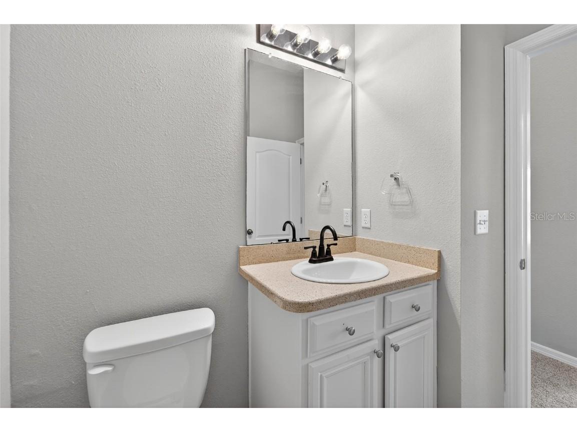 16431 Kingletridge Avenue Lithia FL 33547 TB8412625 image59