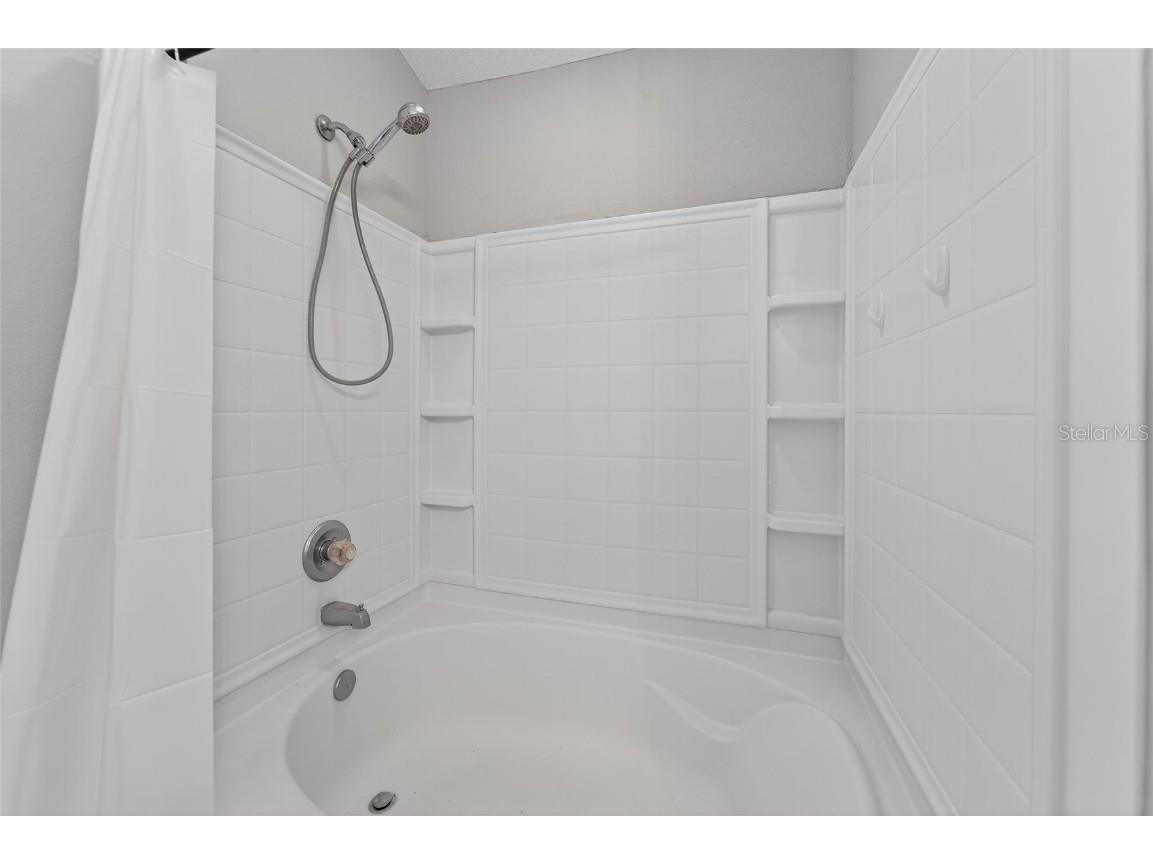 16431 Kingletridge Avenue Lithia FL 33547 TB8412625 image62