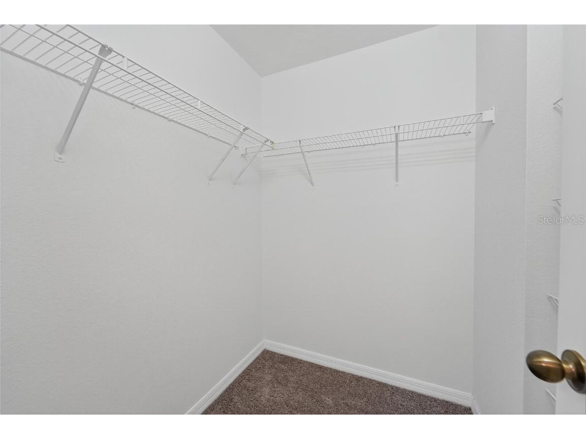 16431 Kingletridge Avenue Lithia FL 33547 TB8412625 image63