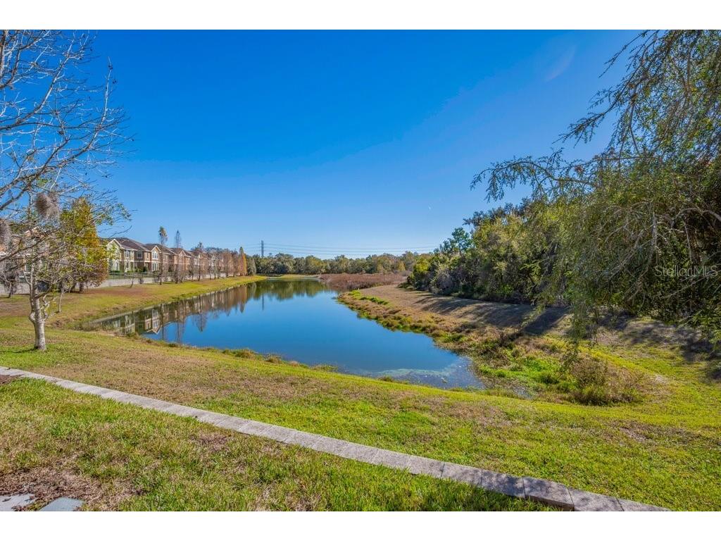 16431 Kingletridge Avenue Lithia FL 33547 TB8465011 image2