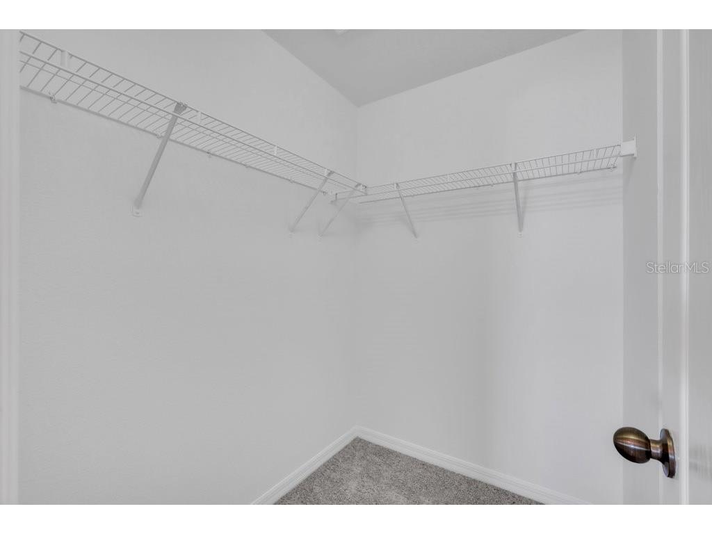 16431 Kingletridge Avenue Lithia FL 33547 TB8465011 image23