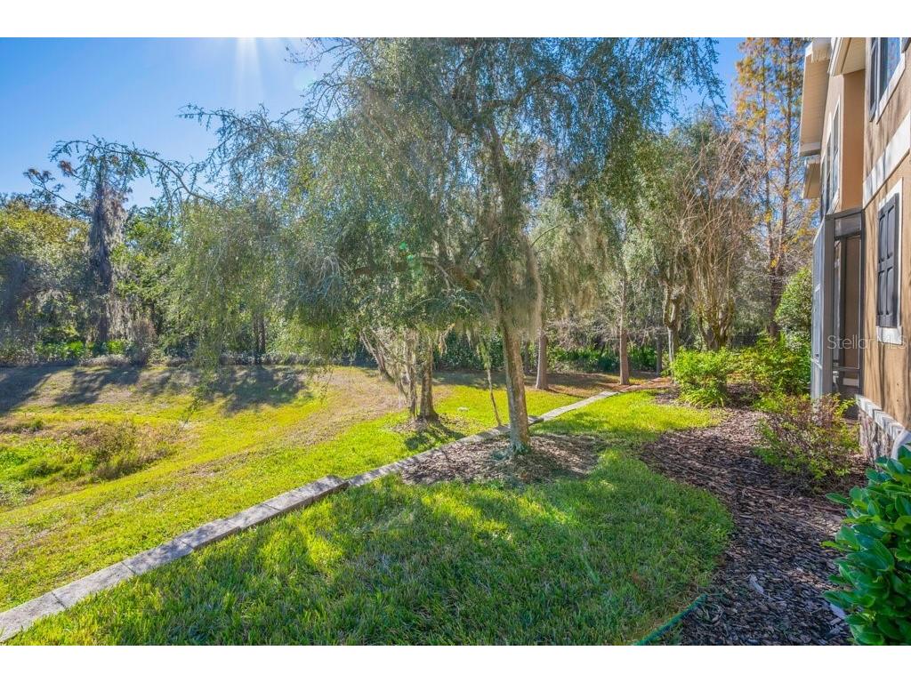 16431 Kingletridge Avenue Lithia FL 33547 TB8465011 image28