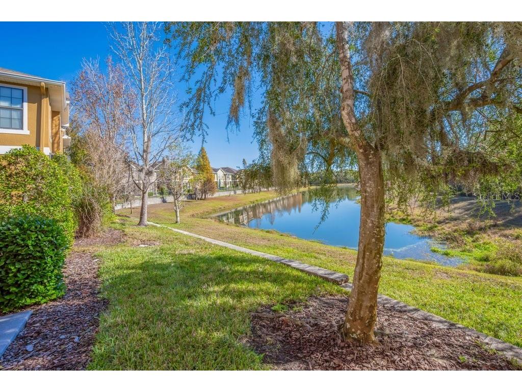 16431 Kingletridge Avenue Lithia FL 33547 TB8465011 image29