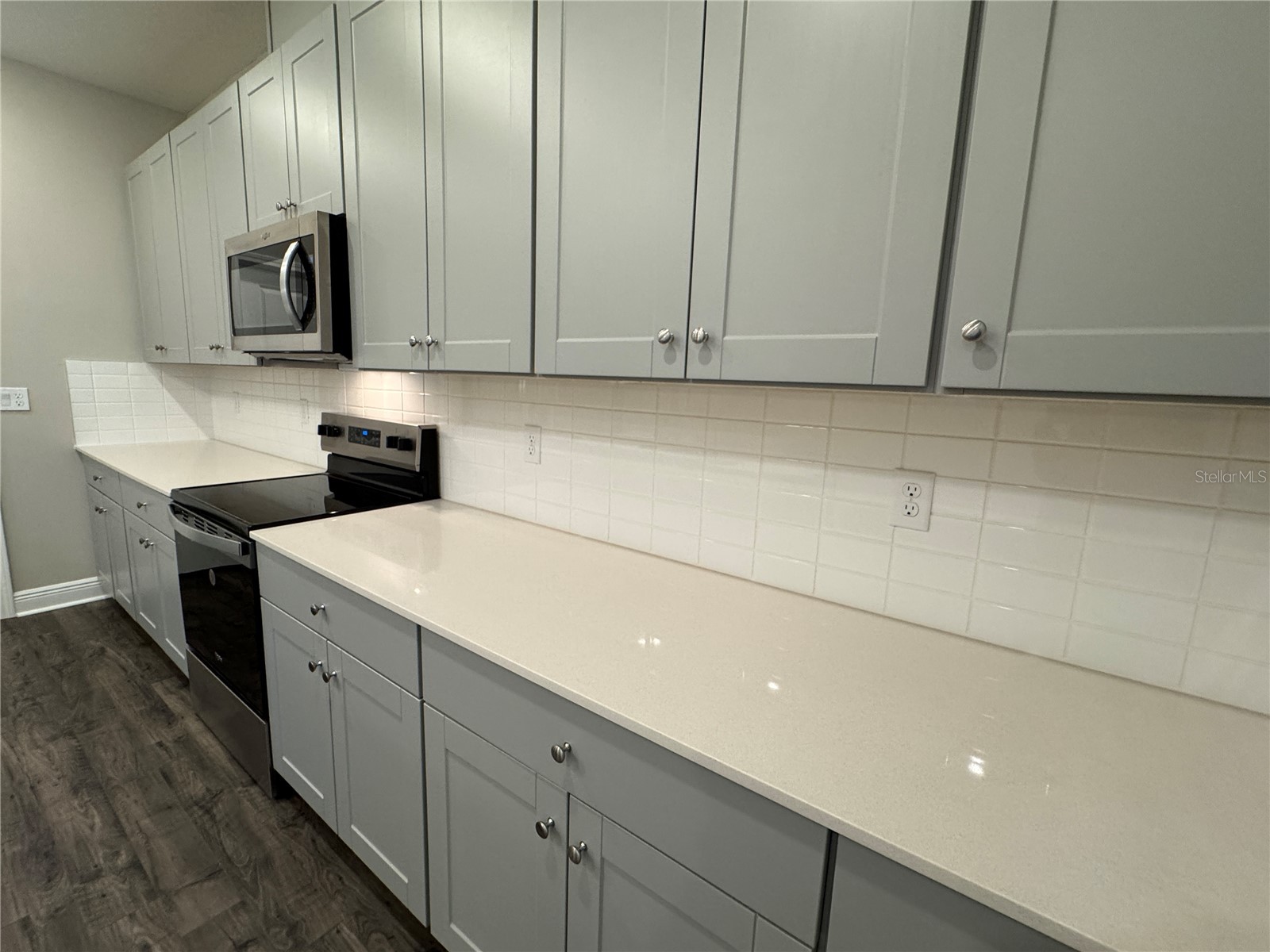16434 Hamlin Hills Road Winter Garden FL 34787 O6396052 image16