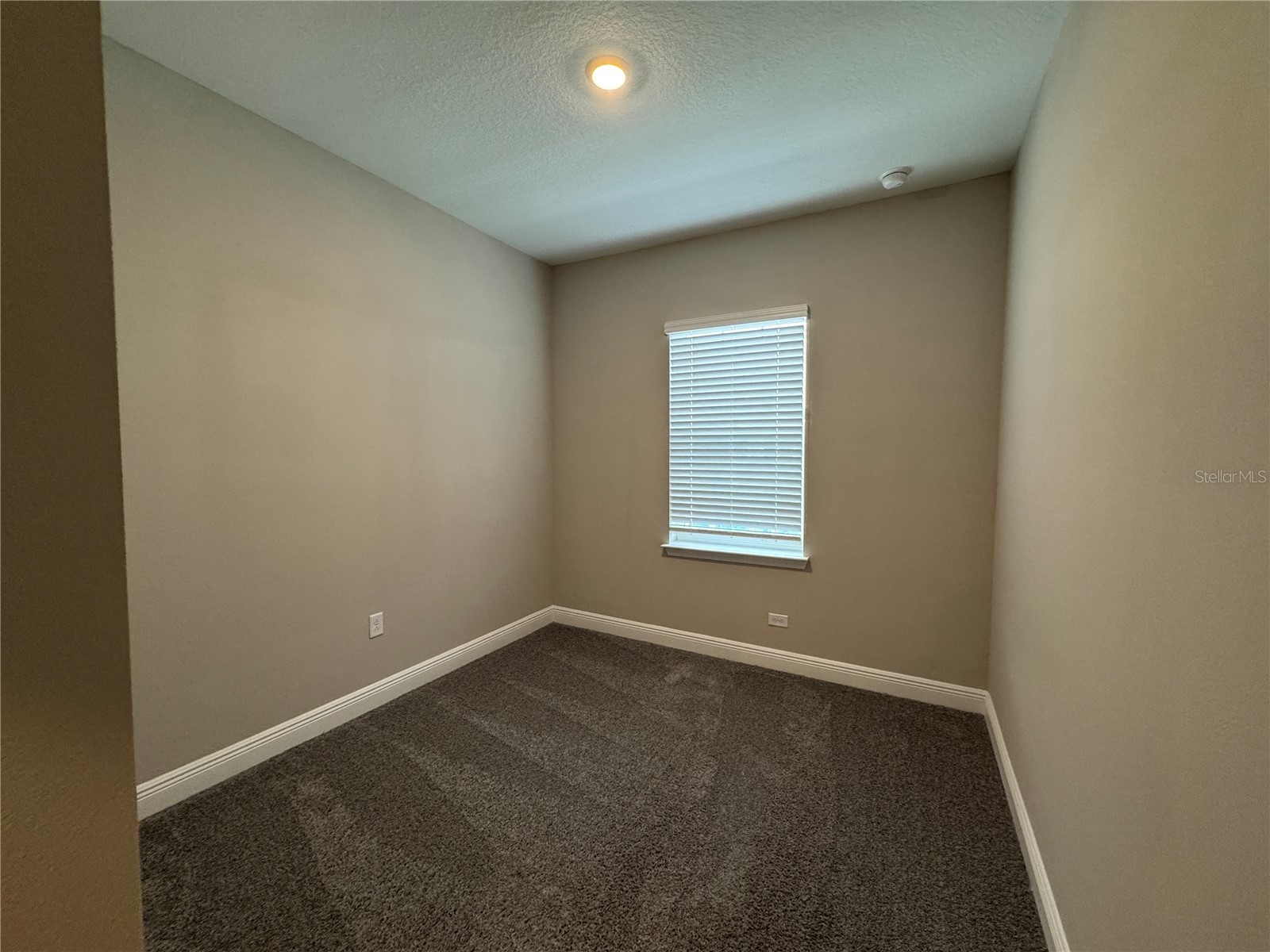 16434 Hamlin Hills Road Winter Garden FL 34787 O6396052 image34