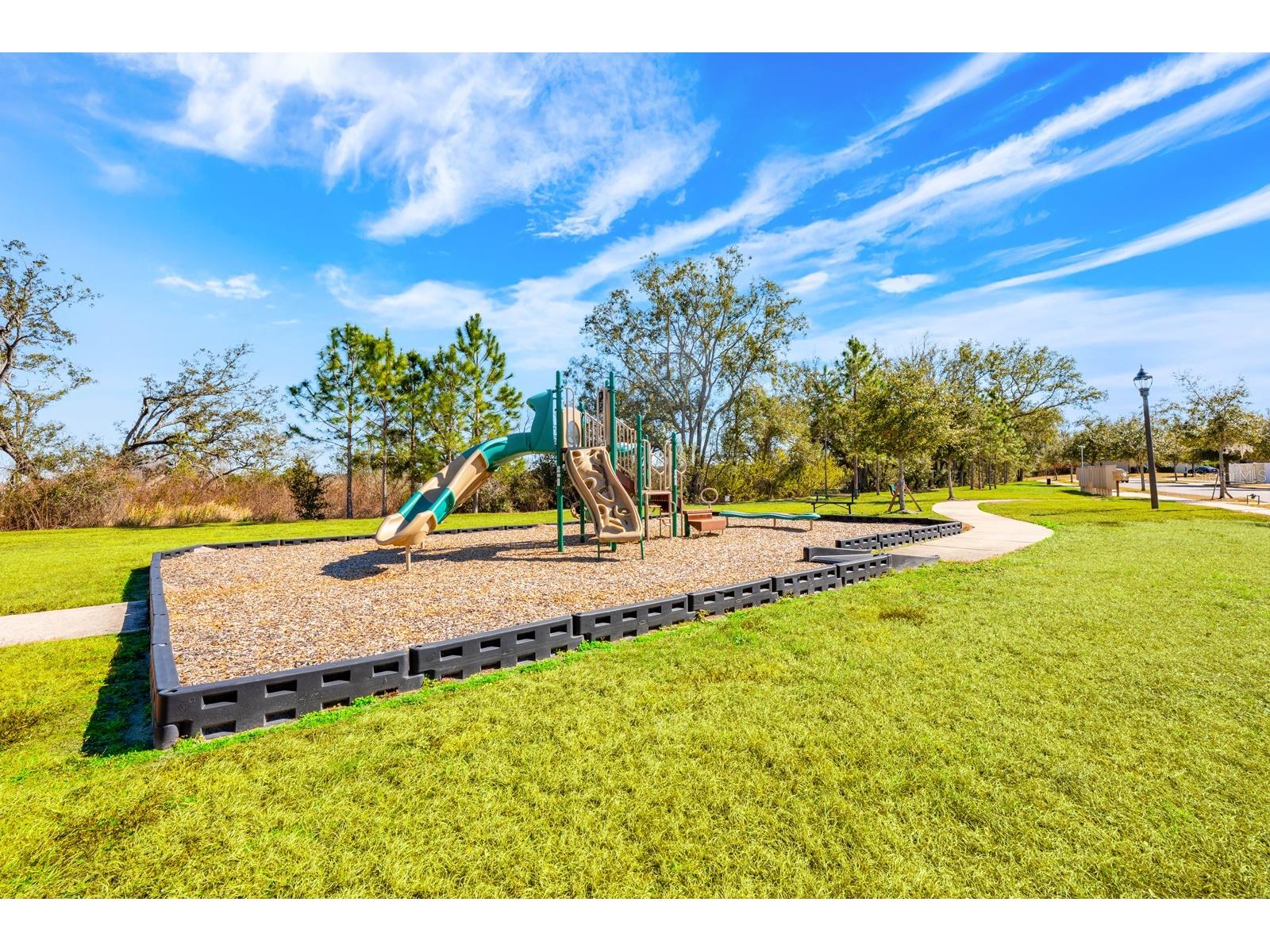 16434 Winding Blossom Drive Groveland FL 34736 O6381402 image28