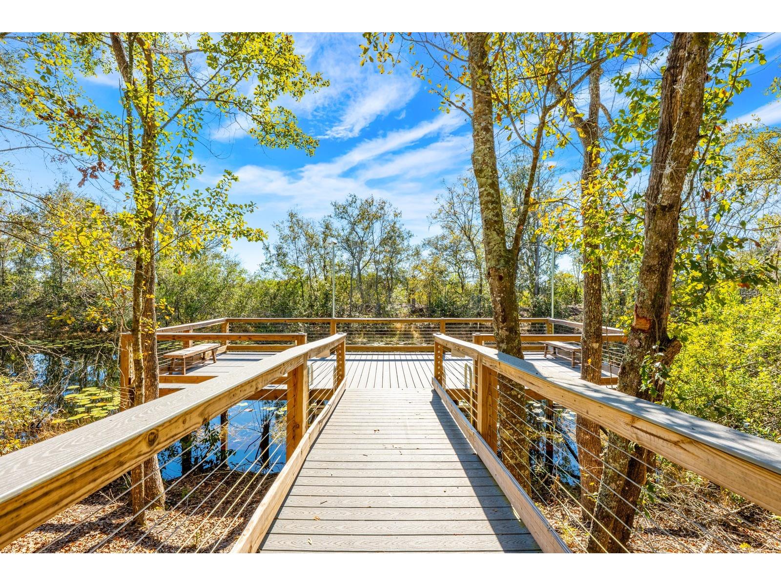 16434 Winding Blossom Drive Groveland FL 34736 O6381402 image30