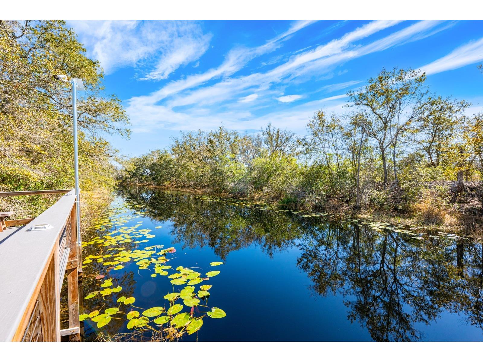 16434 Winding Blossom Drive Groveland FL 34736 O6381402 image33