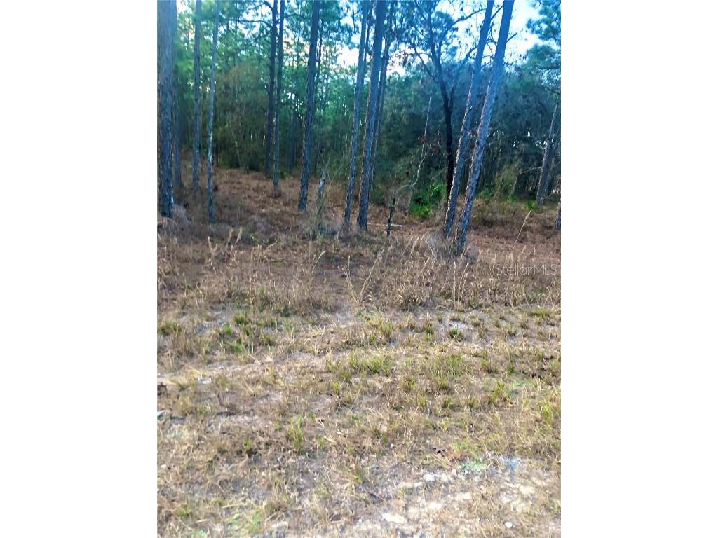 16435 Manor Road Weeki Wachee FL 34614 W7851936 image1