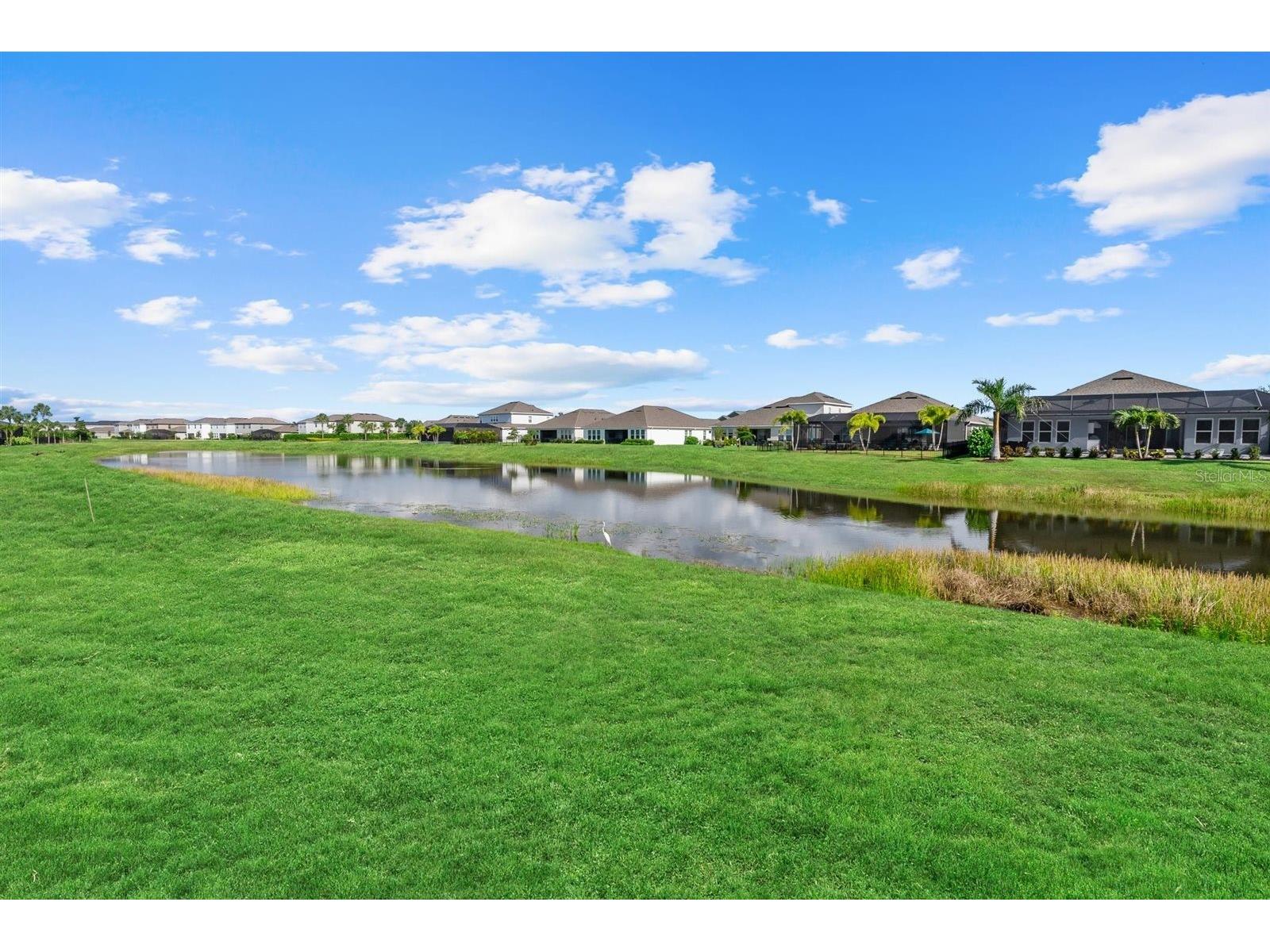 16435 Star Grass Circle Bradenton FL 34211 A4693417 image54