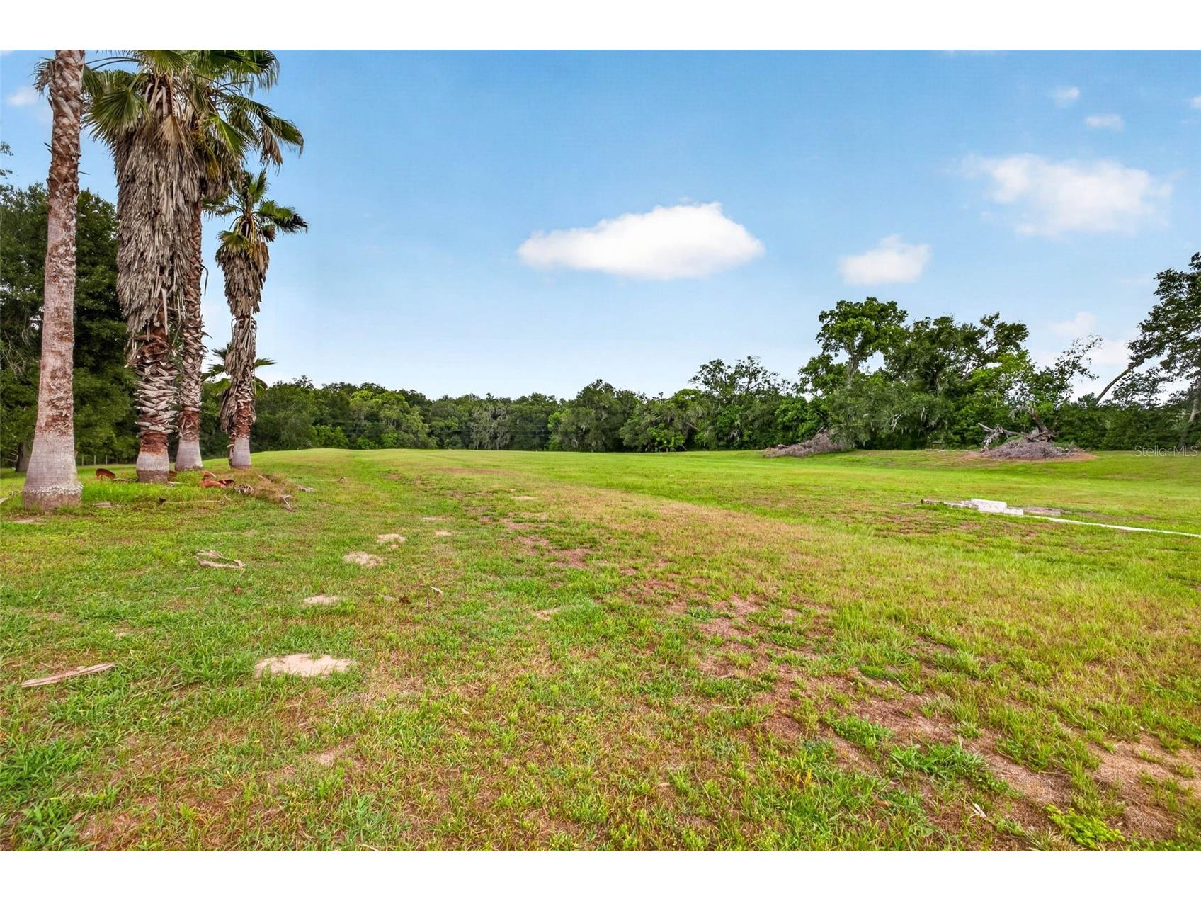 16435 Sweetwater Road Dade City FL 33523 TB8523849 image55