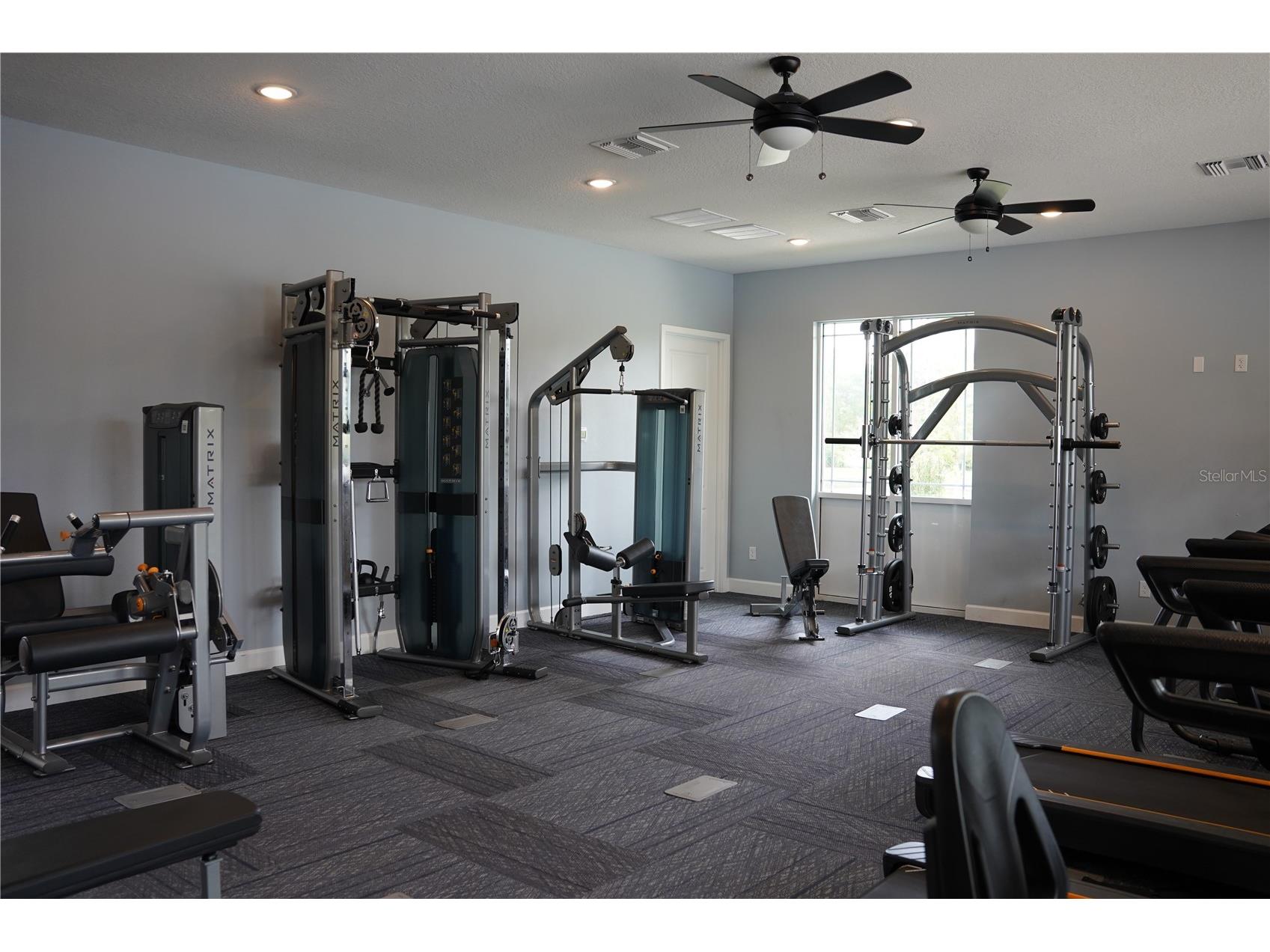16436 Winding Preserve Circle Clermont FL 34714 TB8495438 image37