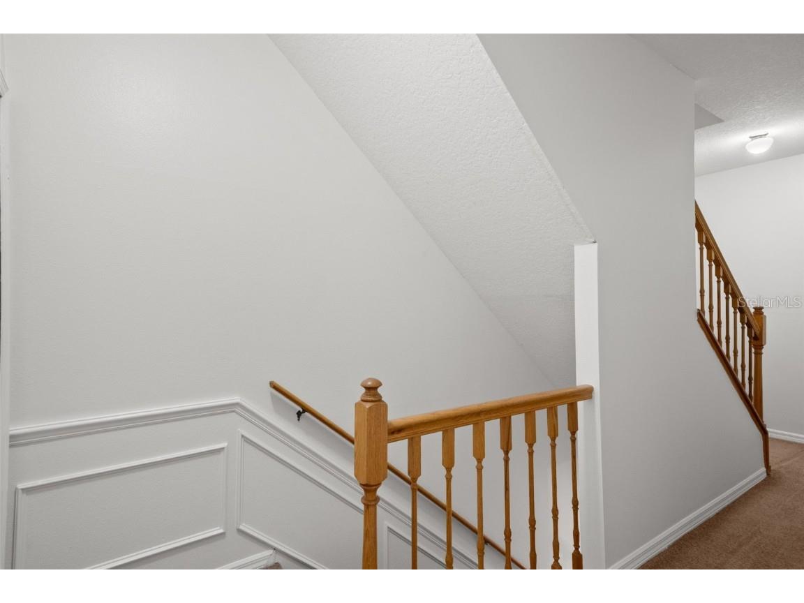 1644 Arabian Lane Palm Harbor FL 34685 TB8423917 image21