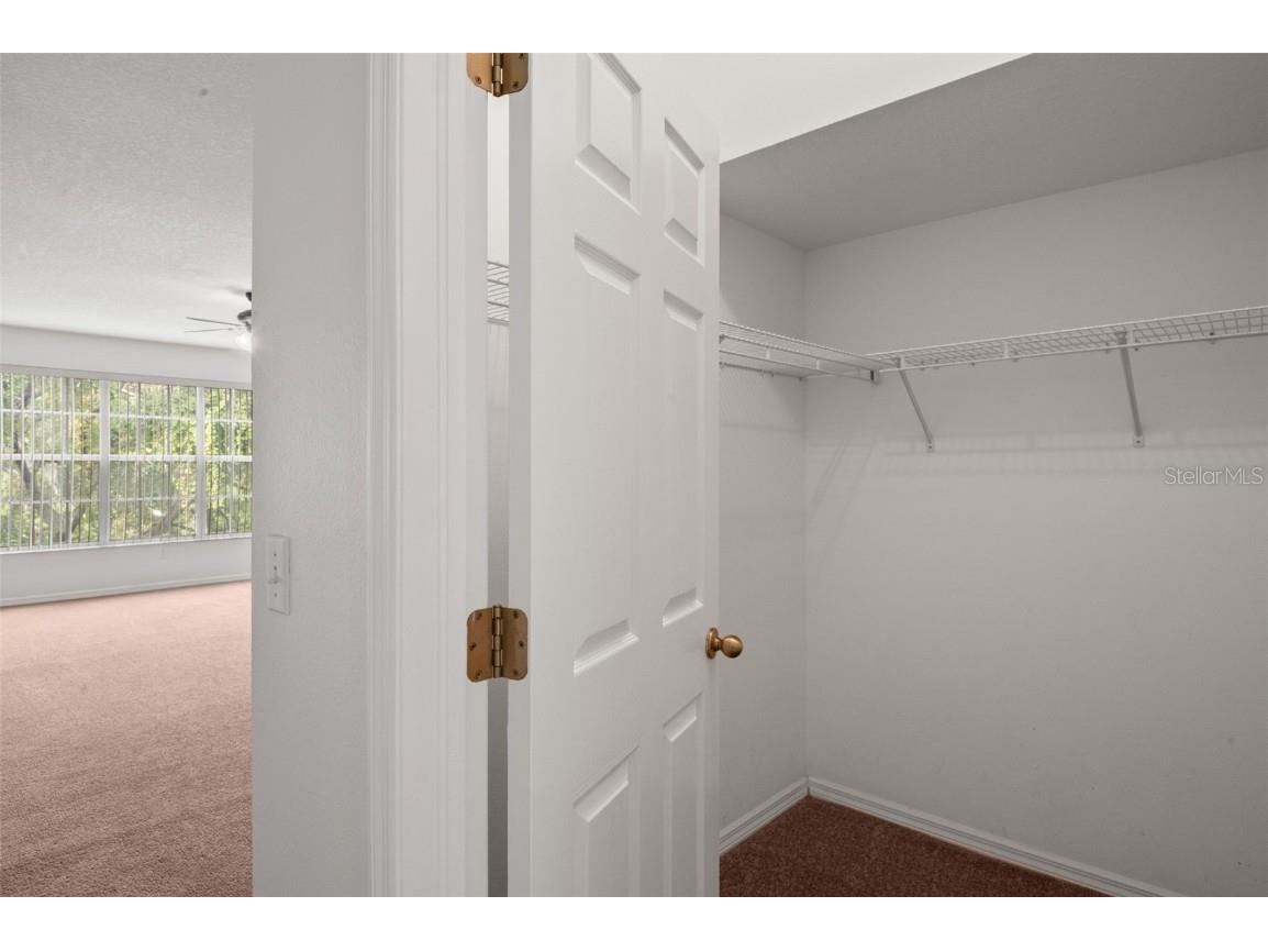 1644 Arabian Lane Palm Harbor FL 34685 TB8423917 image26